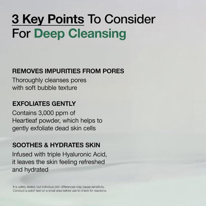 Hankook Bit Sunsu Heartleaf Quercetin Pore-Deep Cleansing Foam— Purify Pores Without