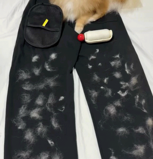 Buy 1 Get 1 Free🔥Pawzioo™ Electrostatic Pet Hair Removal Grooming Gloves